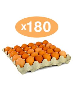 MEDIUM SIZE EGGS - 180