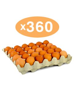 MEDIUM SIZE EGGS - 360