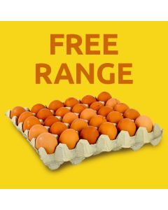 FREE RANGE EGGS MEDIUM