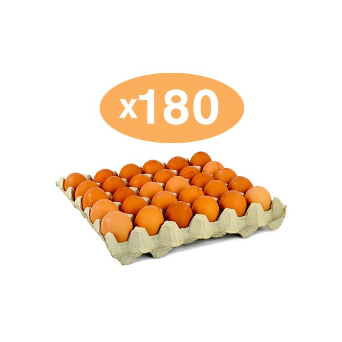 MEDIUM SIZE EGGS - 180