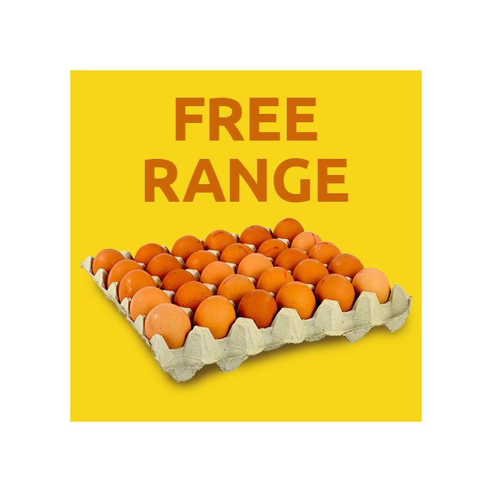 FREE RANGE EGGS MEDIUM