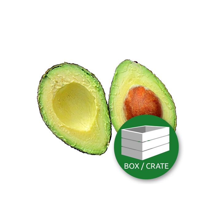 Avocado Ready Ripe - Approx 14x100 gr Box