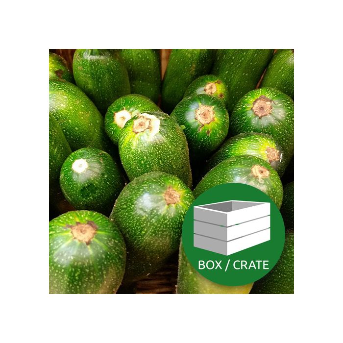 Courgettes - Approx 5kg Box