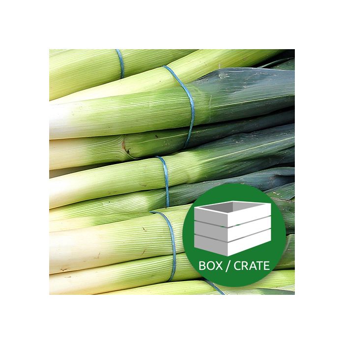 Leeks - Approx 5kg Box