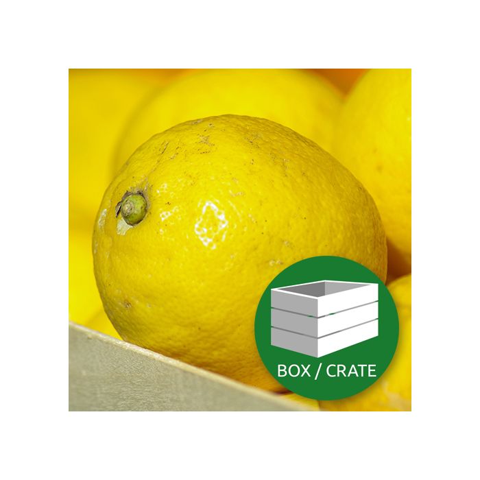 Lemons - Approx 15kg Box