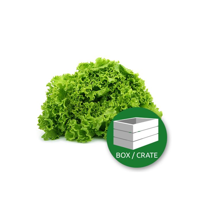 Lolo Salad Biondi - Approx 12x150gr Box