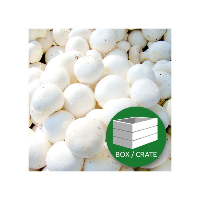 Button Small Mushroom - Approx 2.3kg Box