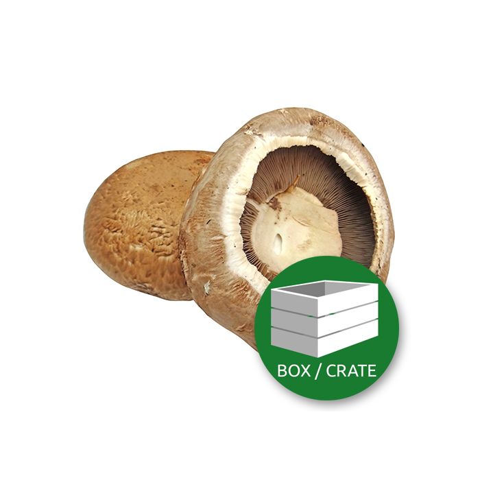 Portobello Mushroom - Approx 1.5kg Box