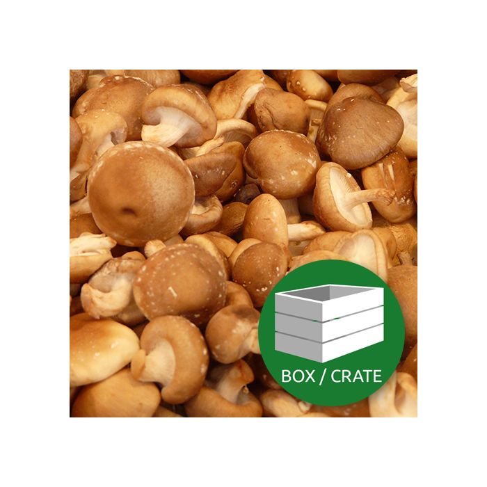 Shitake Mushroom - Approx 1.5kg Box