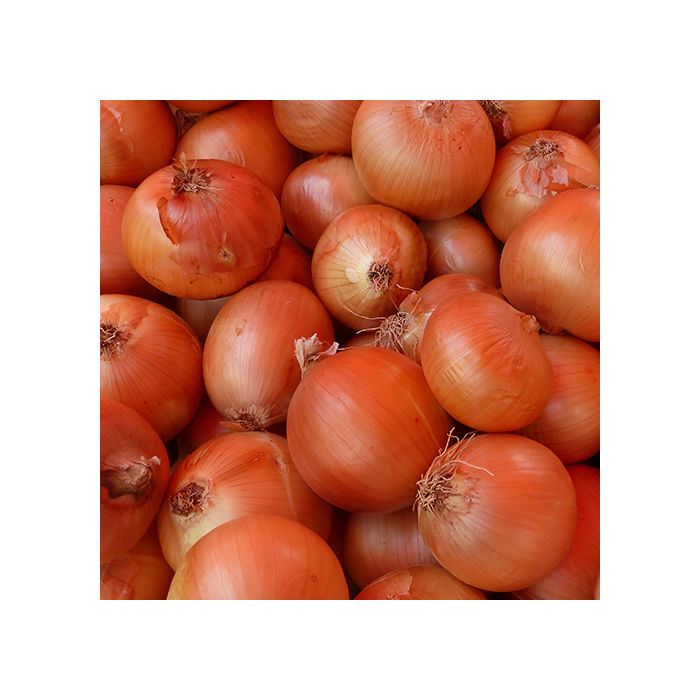 SPANISH WHITE Onions - Approx 20kg Bag