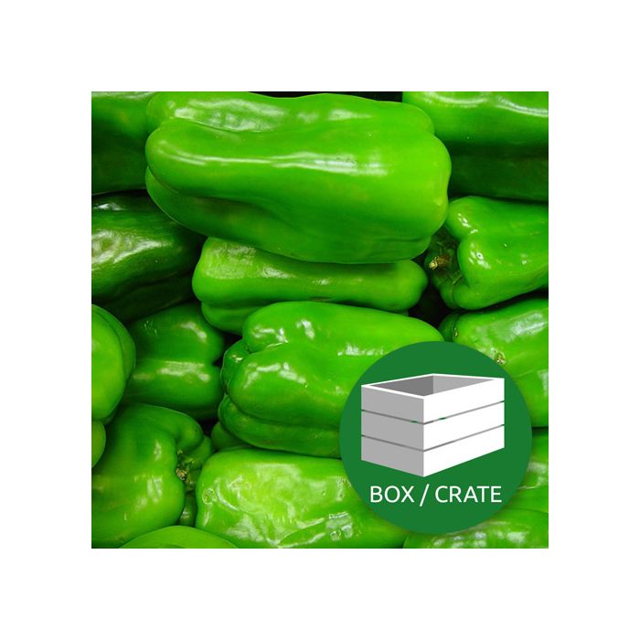Green Peppers - Approx 5kg Box