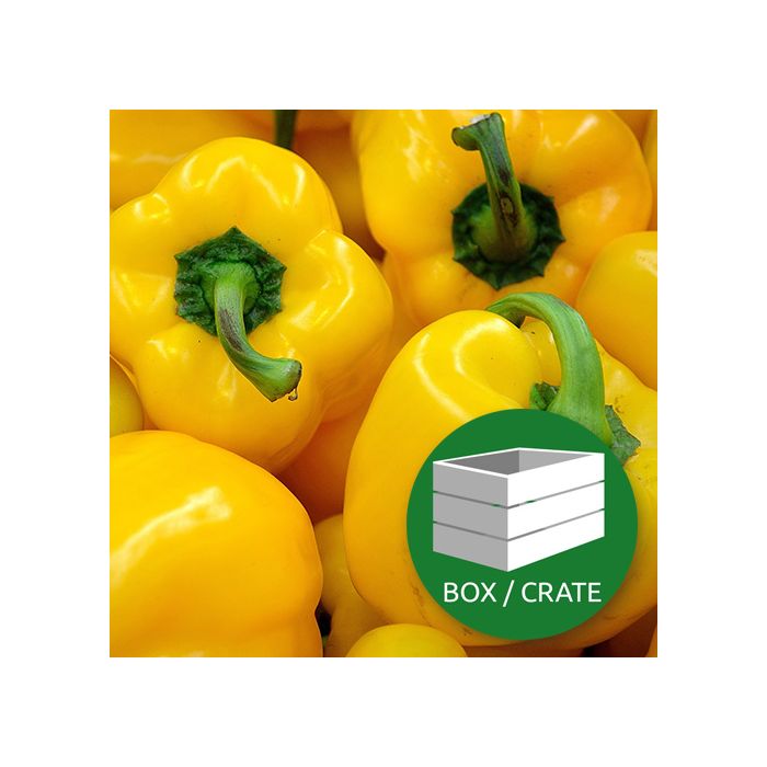 Yellow Peppers - Approx 4.8kg Box