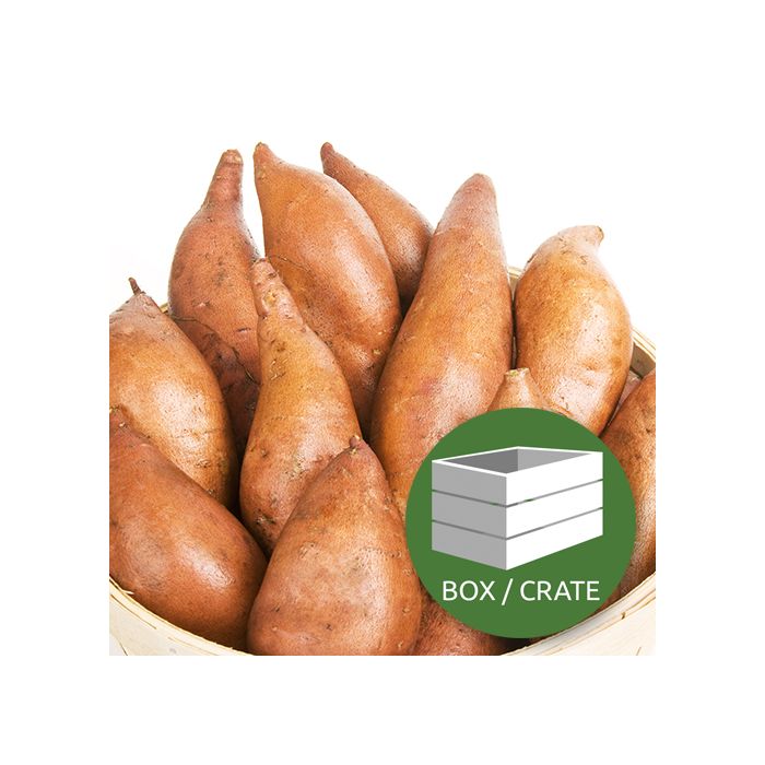 Sweet Potatoes - Approx 6kg Box