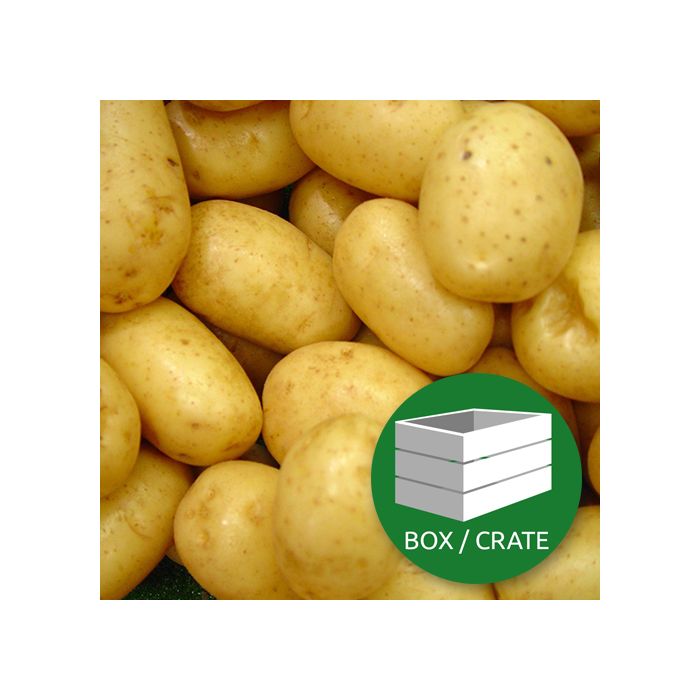 New Potatoes Washed - Approx 10kg Box
