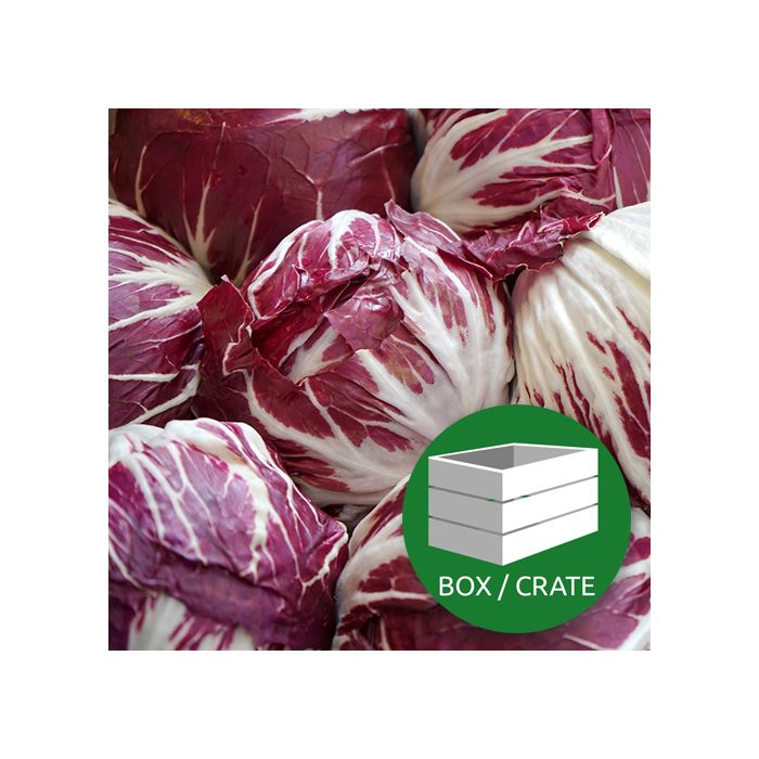 Radicchio - Approx 9x120gr Box
