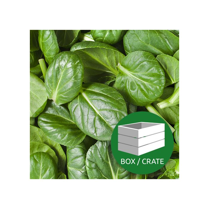 Bunch Spinach - Approx 5kg Box