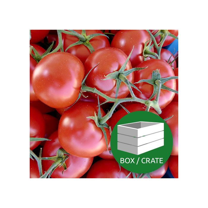 Tomato on Vine - Approx 5kg Box