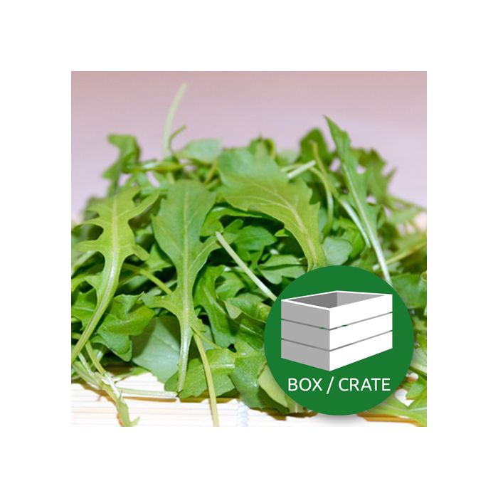 Rocket - Approx 8x100 gr in Plastic Packet