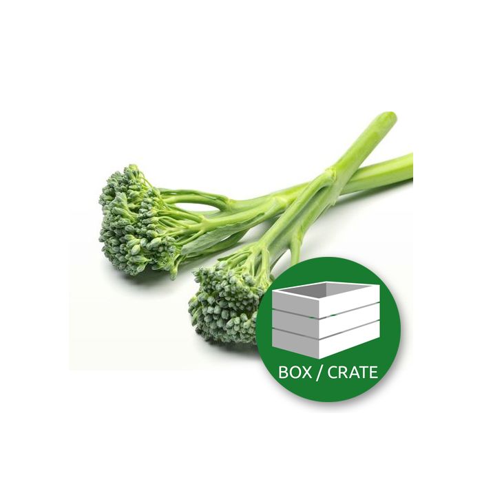 Tenderstem Broccoli Prepacked - Approx 10x250gr Box