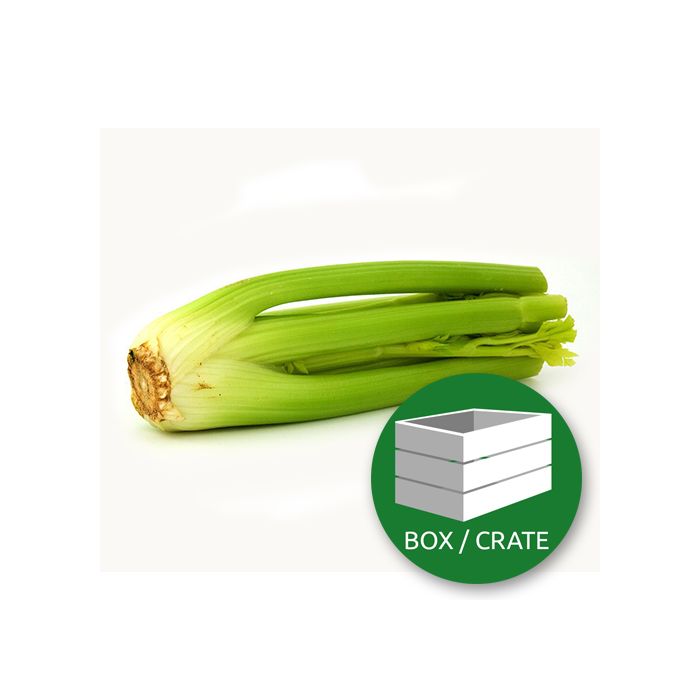 Celery - Approx 10 x 250 gr