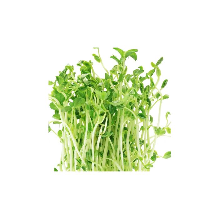 Pea Shoots - Box