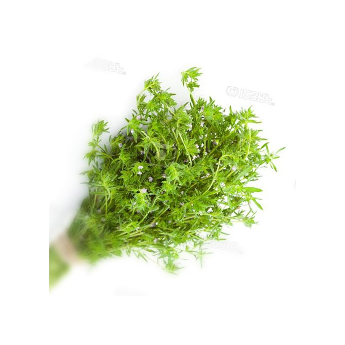 Thyme - 50 gr