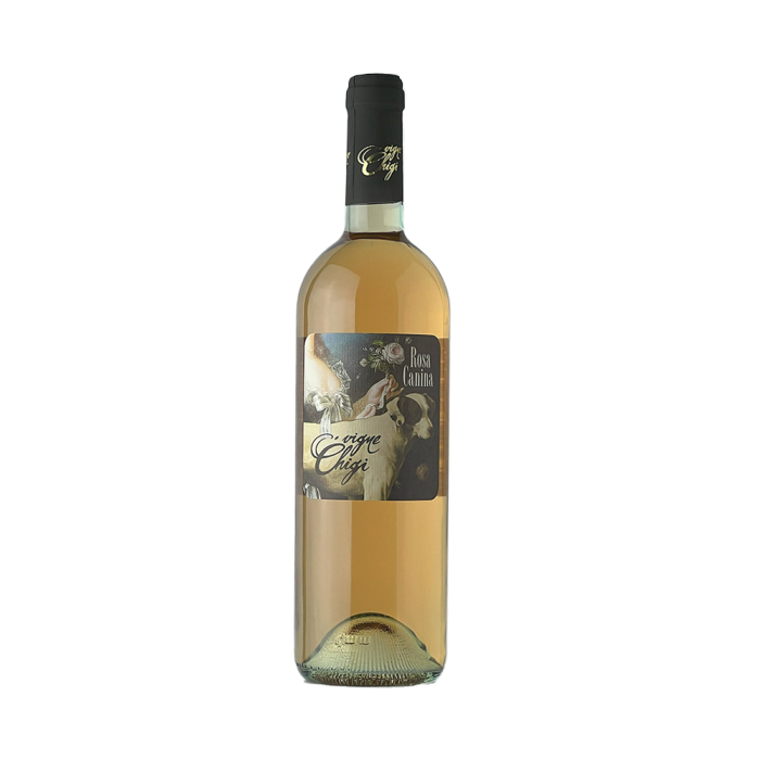 VIGNE CHIGI - Rosa Canina (Rose Wine) IGP - 75cl