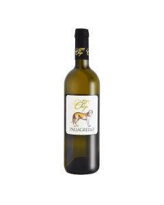 VIGNE CHIGI - Pallagrello White IGP - 75CL