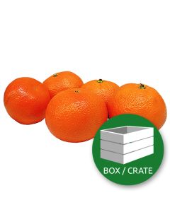 ImagesAndVideos
