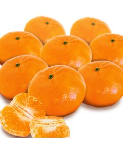 Tangerines - Price x kg