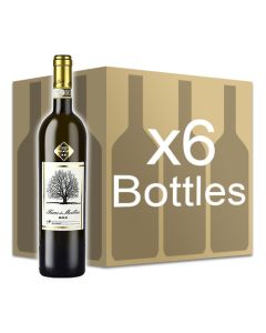 /i/m/VW1333C_fiano_di_avellino.jpg