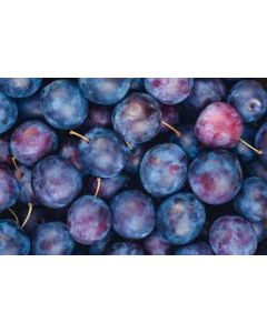 Prugne_Plums Fresh - kg