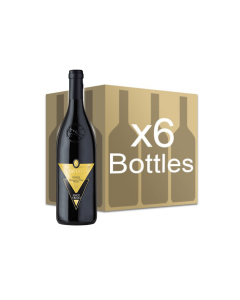 Savian Pinot Grigio Box 
