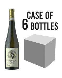 BELLARIA - Fiano di Avellino DOCG - 6x75 cl
