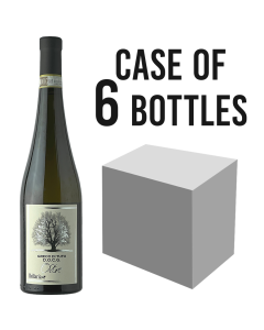 BELLARIA - Greco di Tufo OLTRE DOCG - 6x75cl