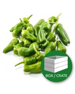 Padron Peppers (sweet) - Peperoni Dolci - Box (Approx 2Kg)