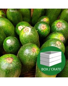 Courgettes - Approx 5kg Box