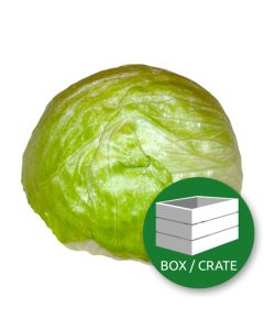 ImagesAndVideos