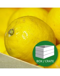 Lemons - Approx 15kg Box