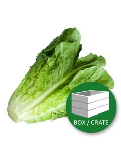ImagesAndVideos