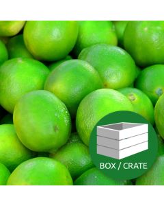 Limes - Approx 4.5kg Box