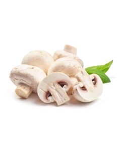Large Cap Mushrooms - Funghi Champignon Grandi - Cap Size 5/6 cm - 2.3kg Approx. - Box