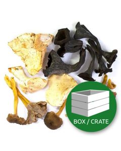 MIXED WILD MUSHROOMS_FUNGHI BOSCO MISTI
