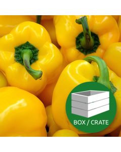 Yellow Peppers - Approx 4.8kg Box