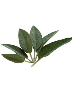 Sage - Bunch - 50g Approx.