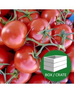 Tomato on Vine - Approx 5kg Box