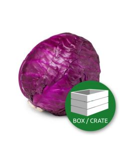 Cavolo Rosso _ Red Cabbage - Box (10Kg Approx.)