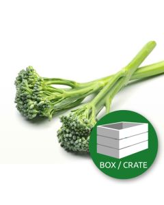 ImagesAndVideos