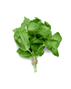 Fresh Basil 