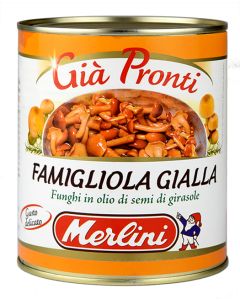 mushroom chiodini